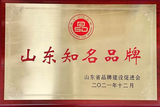 开云世界杯中国有限公司瑞特入选2021年山东知名品牌